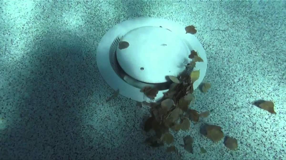 The image shows a marine scene with a round object resembling a porthole, surrounded by seaweed, resting on a sandy ocean floor.