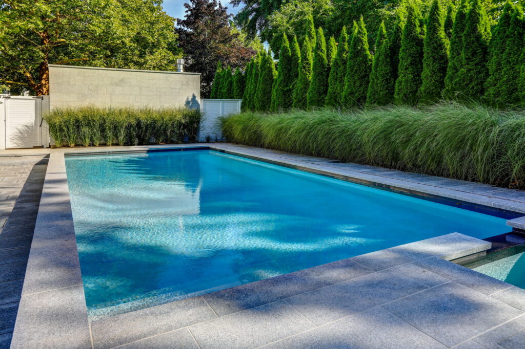 This image shows a serene backyard with a rectangular swimming pool, surrounded by tall hedges, ornamental grasses, a concrete wall, and pavers.