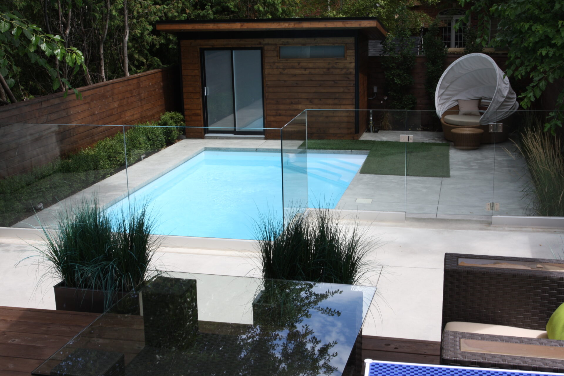 A modern backyard with a clear blue pool, glass fencing, wood decking, ornamental grasses, a cozy cocoon chair, and a small building in the background.