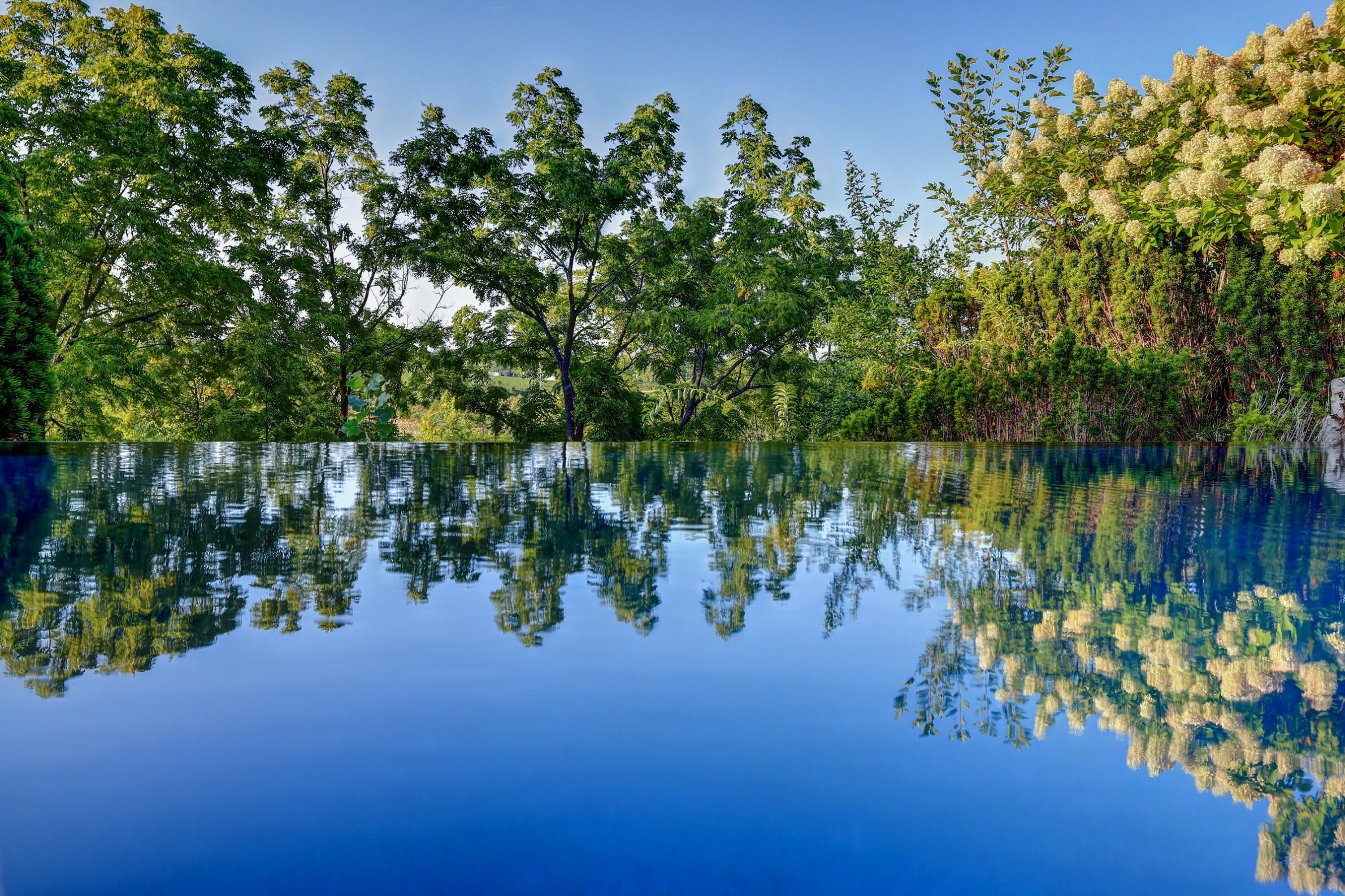 This image features a tranquil reflective pool mirroring lush green trees and flowering shrubs under a clear blue sky.