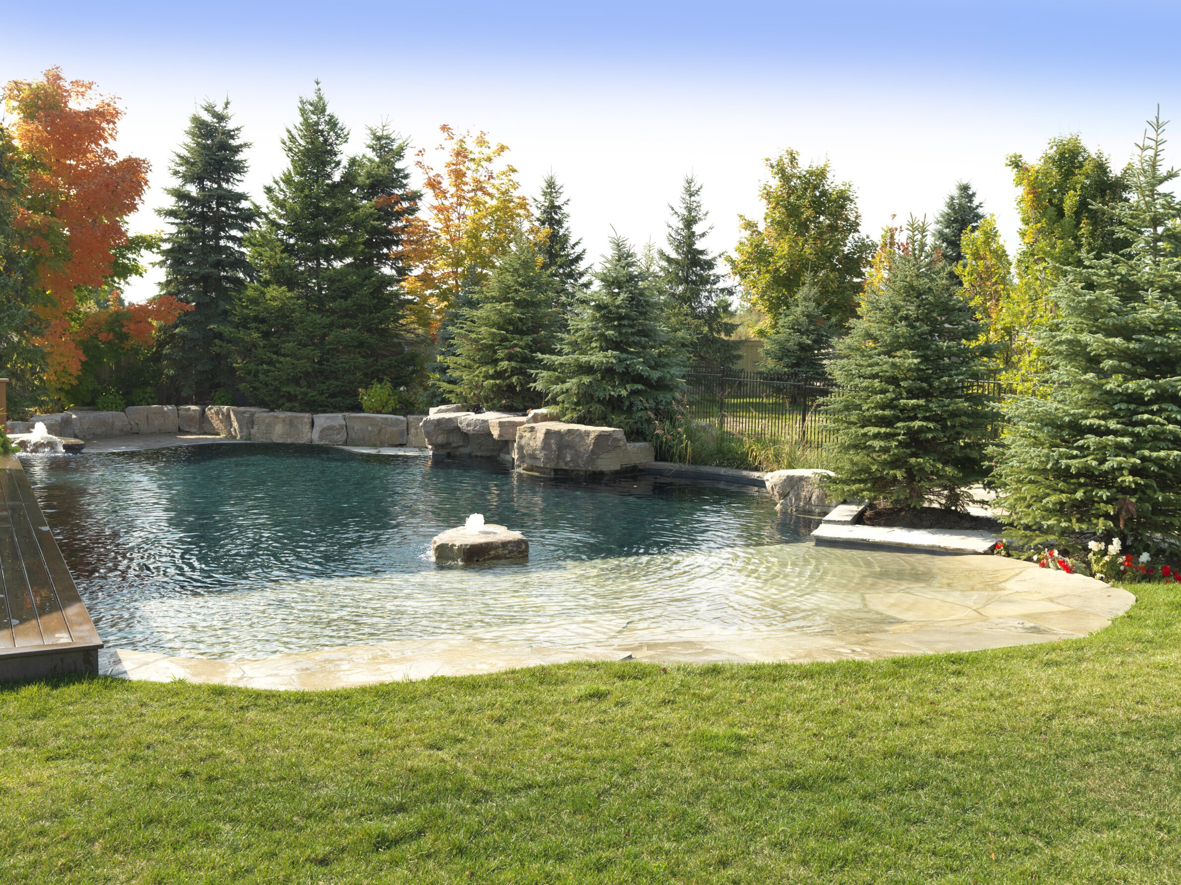 This is an image of an inviting backyard with a natural-looking swimming pool, surrounded by rocks and lush greenery, under a clear blue sky.
